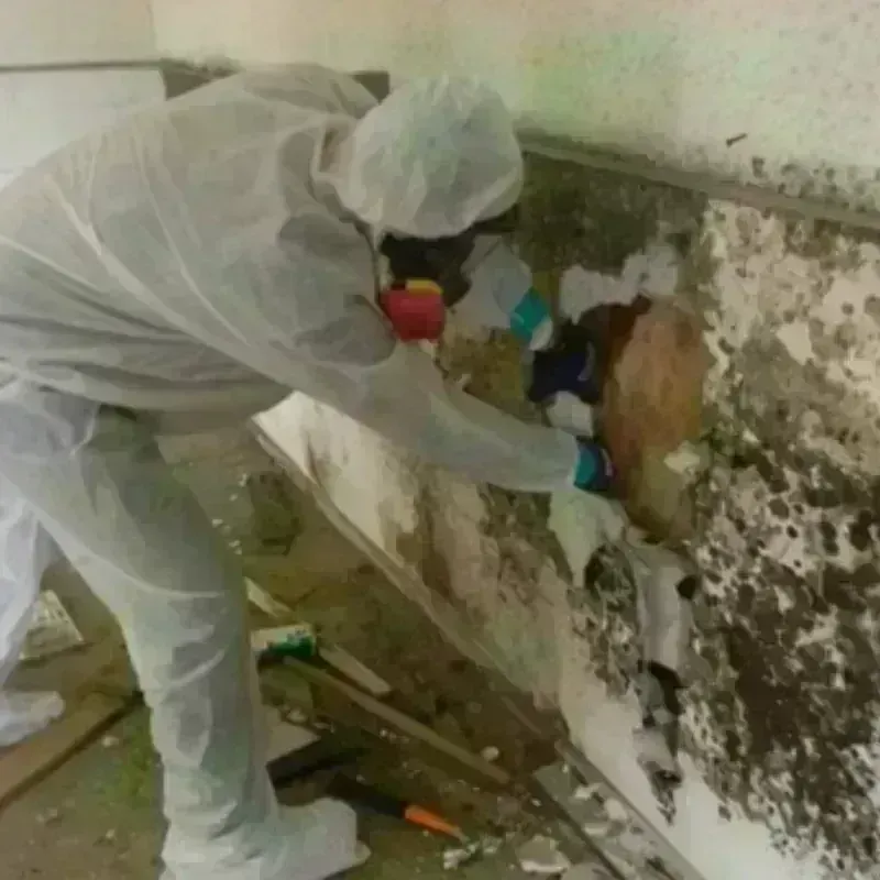 Mold Remediation and Removal in Winthrop Harbor, IL