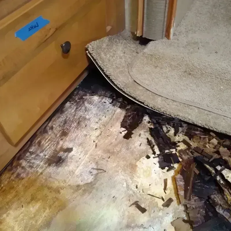 Best Wood Floor Water Damage Service in Winthrop Harbor, IL